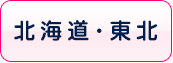 北海道・東北の風俗体入速報