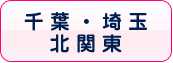 千葉・埼玉・北関東の風俗体入速報