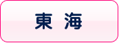 東海の風俗体入速報