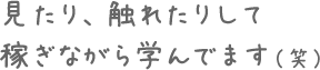 見たり、触れたりして稼ぎながら学んでます（笑）